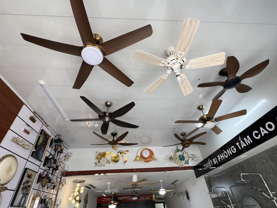 Quạt trần chung cư Vinh Nghệ An