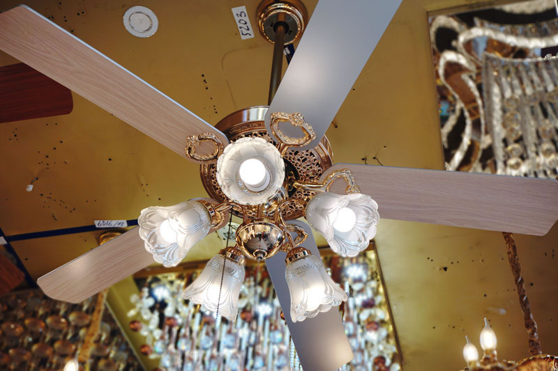 Quạt trần chung cư Vinh Nghệ An